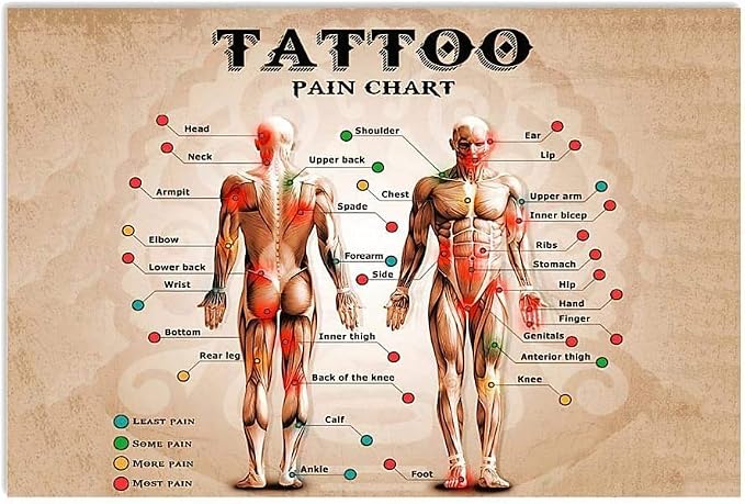Tattoo Schmerzkarte Syndicat Tattoo